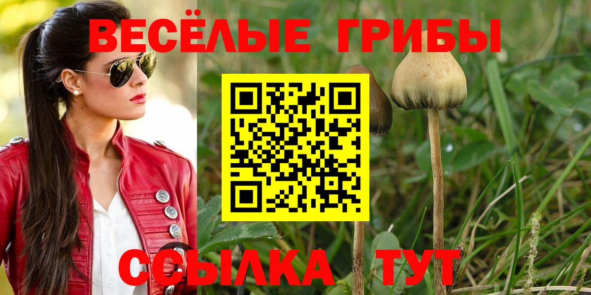 Псилоцибиновые грибы MAGIC MUSHROOMS  Галлюциногенные грибы прущие грибы  Вход с VPN  Янаул 